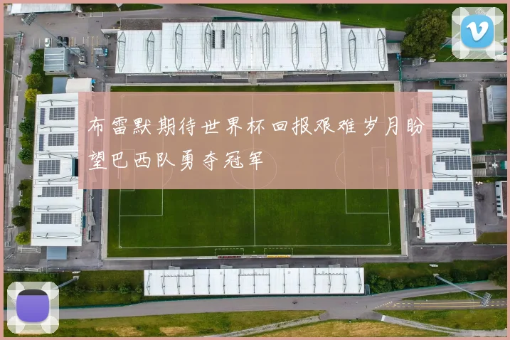 布雷默期待世界杯回报艰难岁月盼望巴西队勇夺冠军